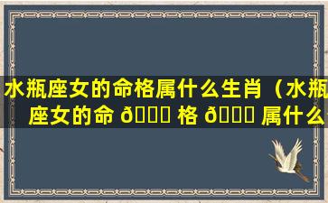 水瓶座女的命格属什么生肖（水瓶座女的命 🍀 格 🐕 属什么生肖呢）